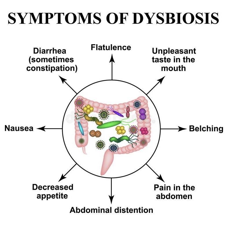 Gut dysbiosis and premature&nbsp;death