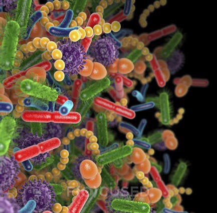 microbial extinction?