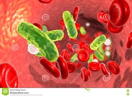 gut microbes play role in human body temperature&nbsp;drop