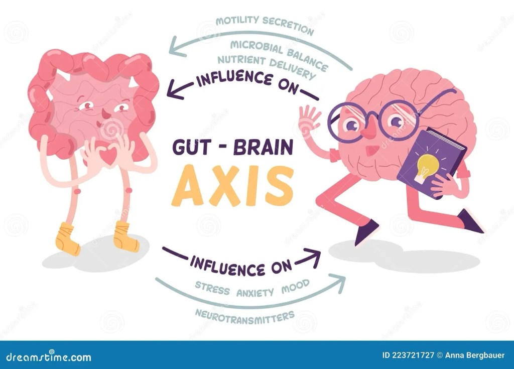 Gut- brain study explores cognitive decline and&nbsp;aging