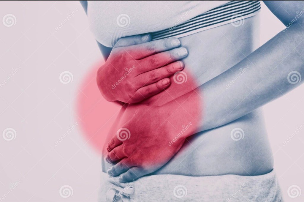 gut microbe series 09:&nbsp;Roseburia