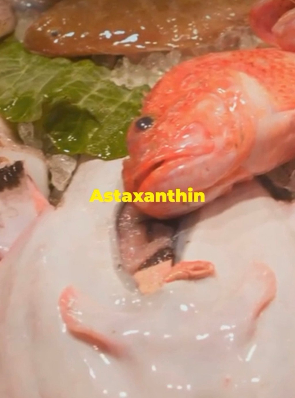 Astaxanthin, the upper-&nbsp;antioxidant: