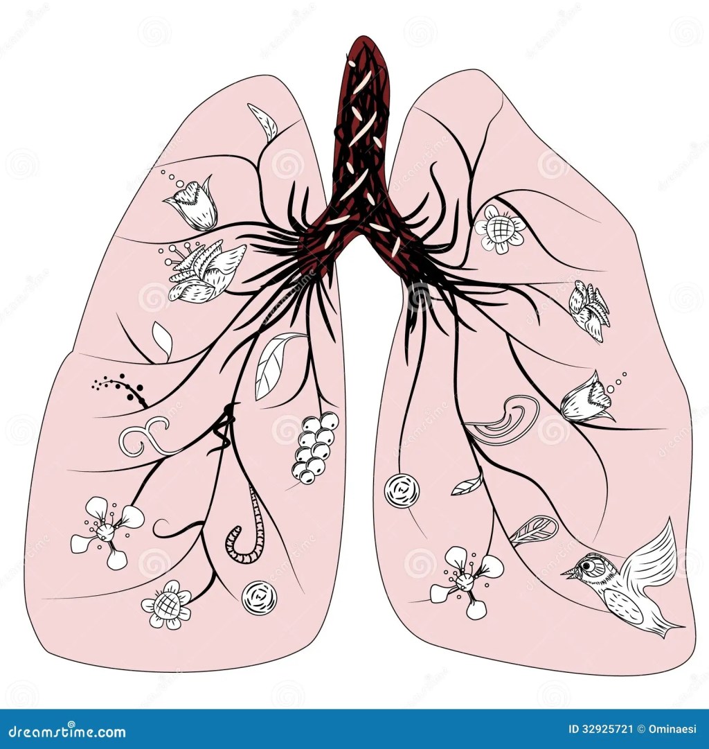 Gut-to-lung communication aided by gut&nbsp;microbe