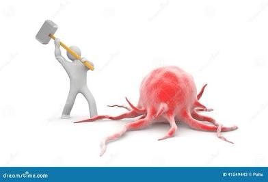 Role of gut microbes, bile acids in fighting&nbsp;cancer